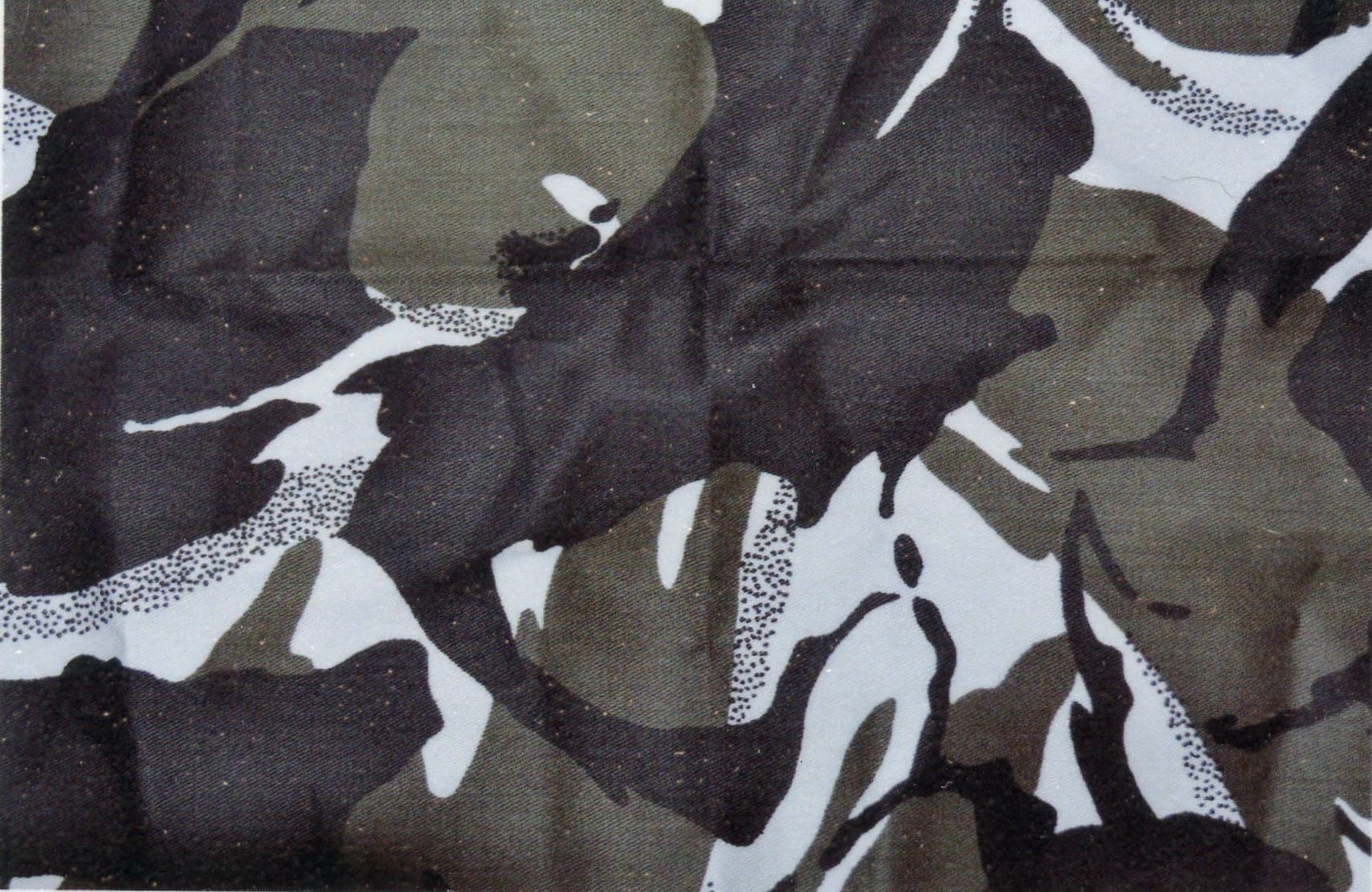 Artic Cammo