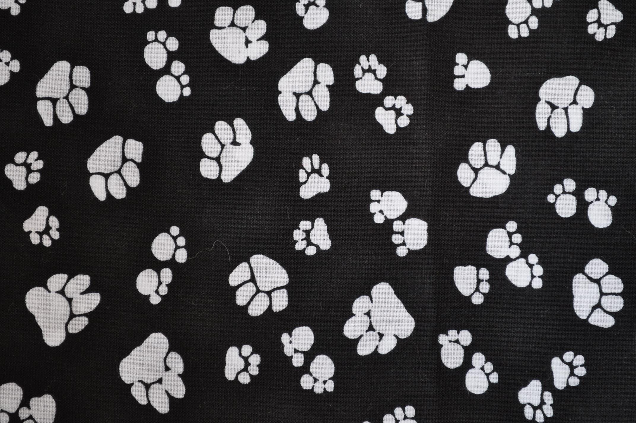 Big Paws
