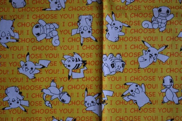 I Choose You