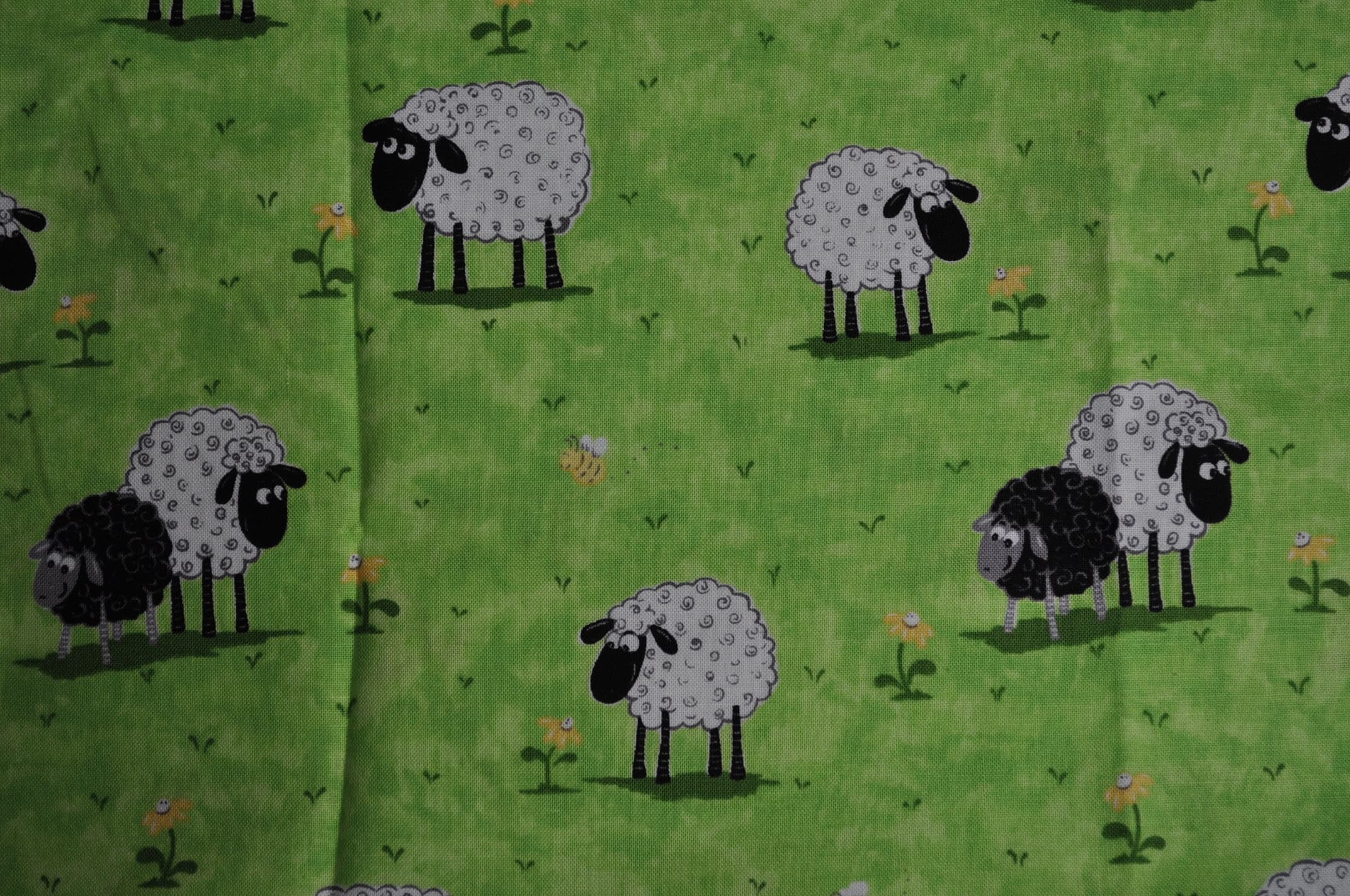 Sheep