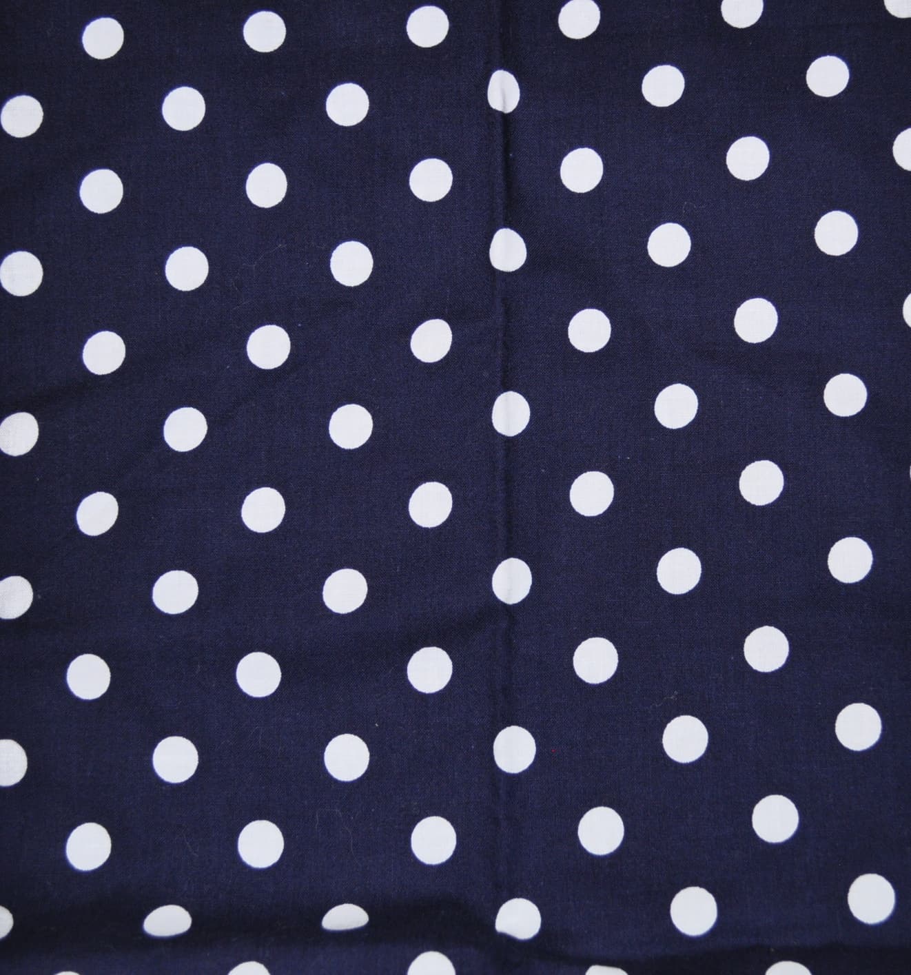 Blue And White Polka