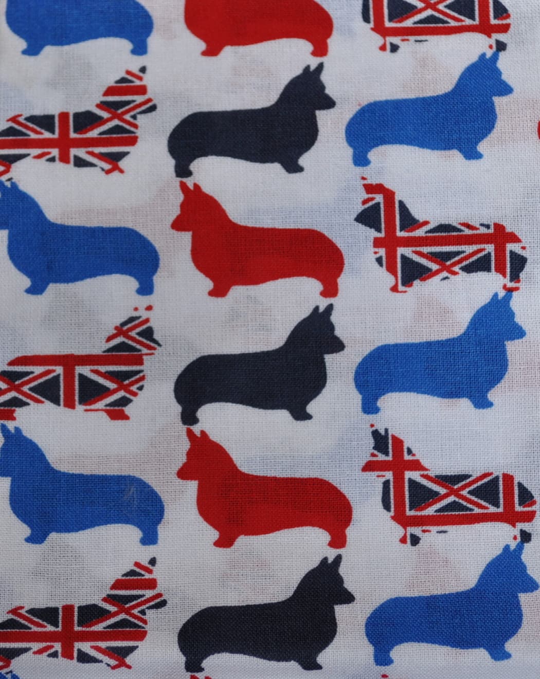Corgis