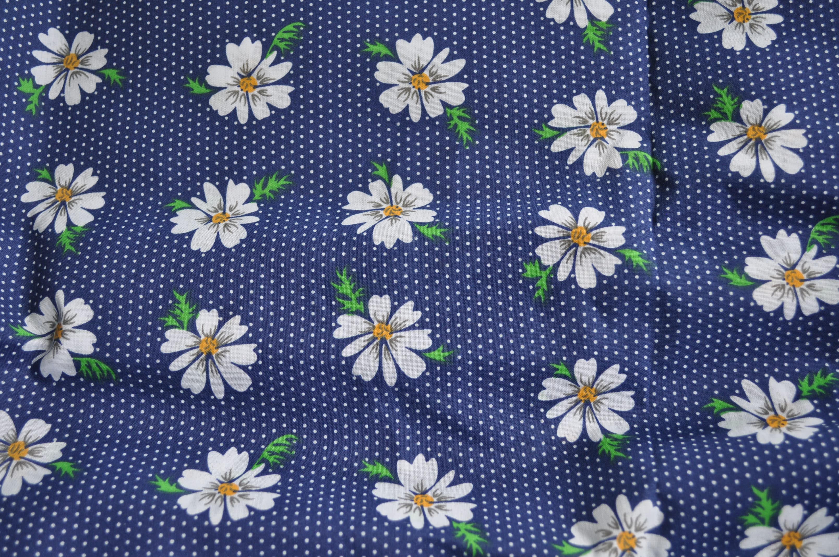 Daisies