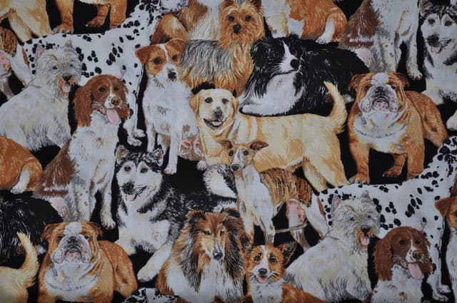 Dogs
