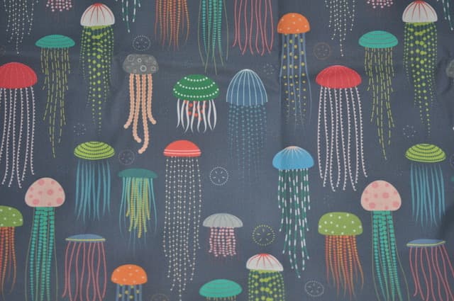 Jolly Jellyfish