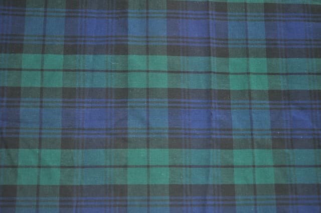 Navy Green Tarten