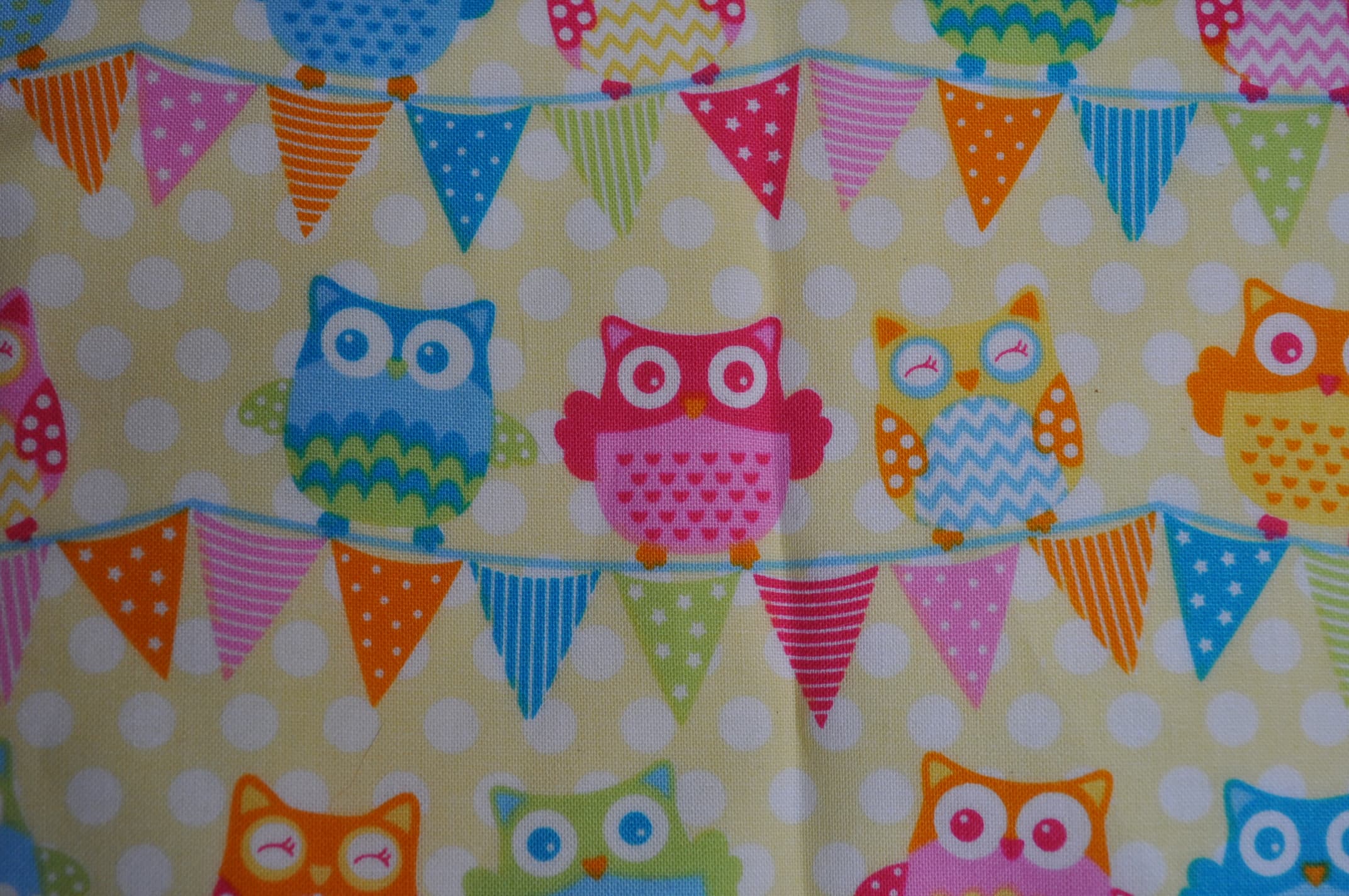 Owls