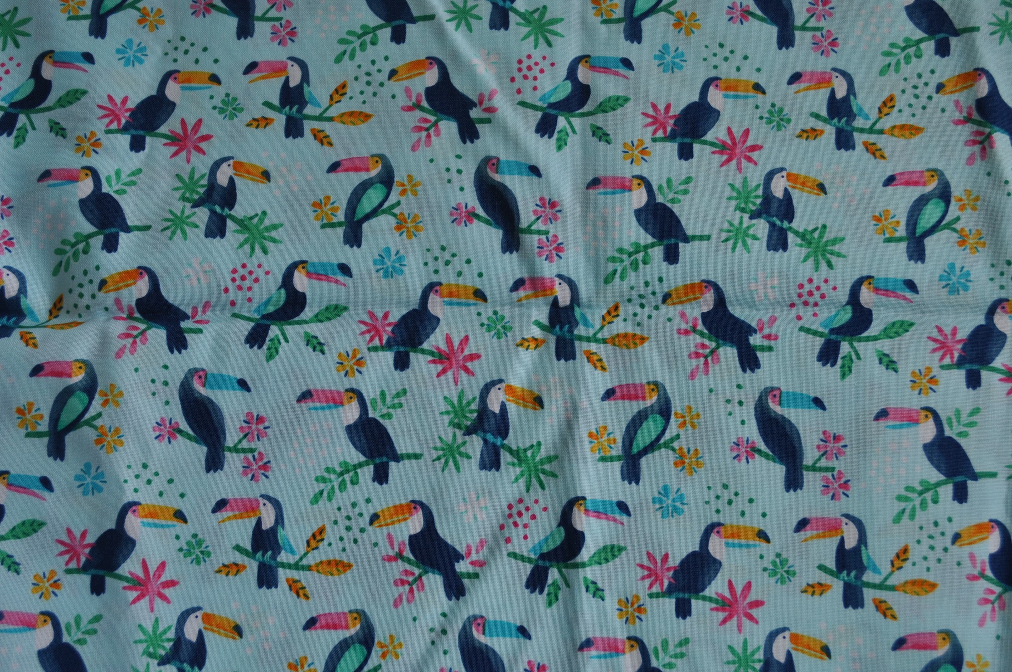 Small Toucan