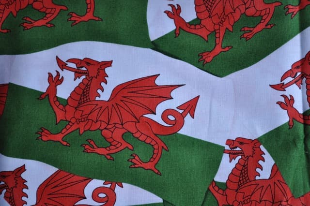 Welsh Dragons 2